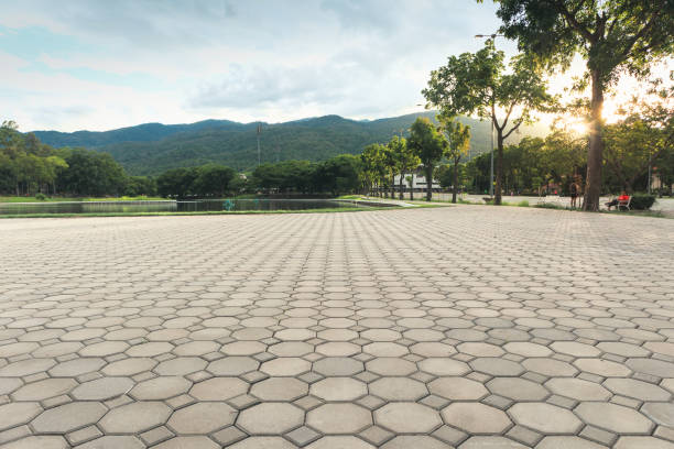 Best Commercial Driveway Pavers  in Freeport, TX